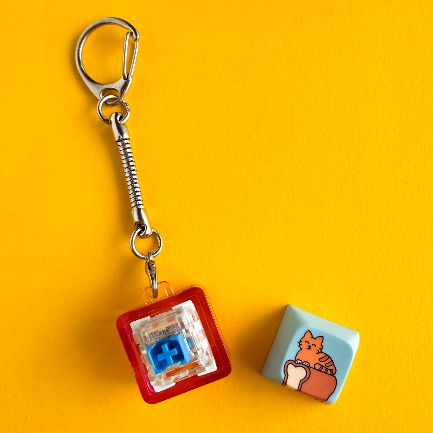 A Clicky Cat keychain with the keycap removed to show a blue Gateron switch inside. The keycap is to the side and features an orange cat on top of a loaf of bread with a blue background.