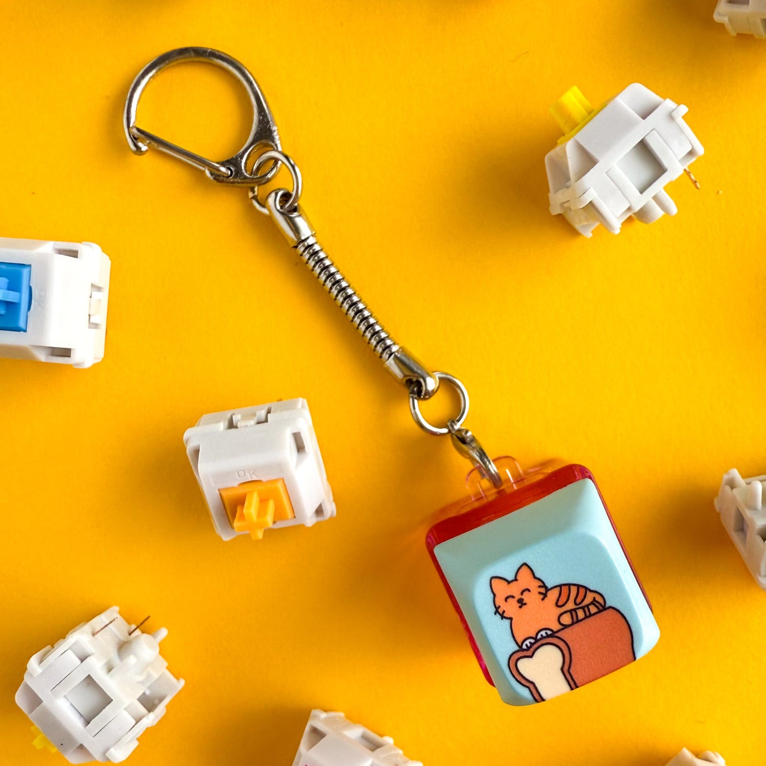 Fidget Toys