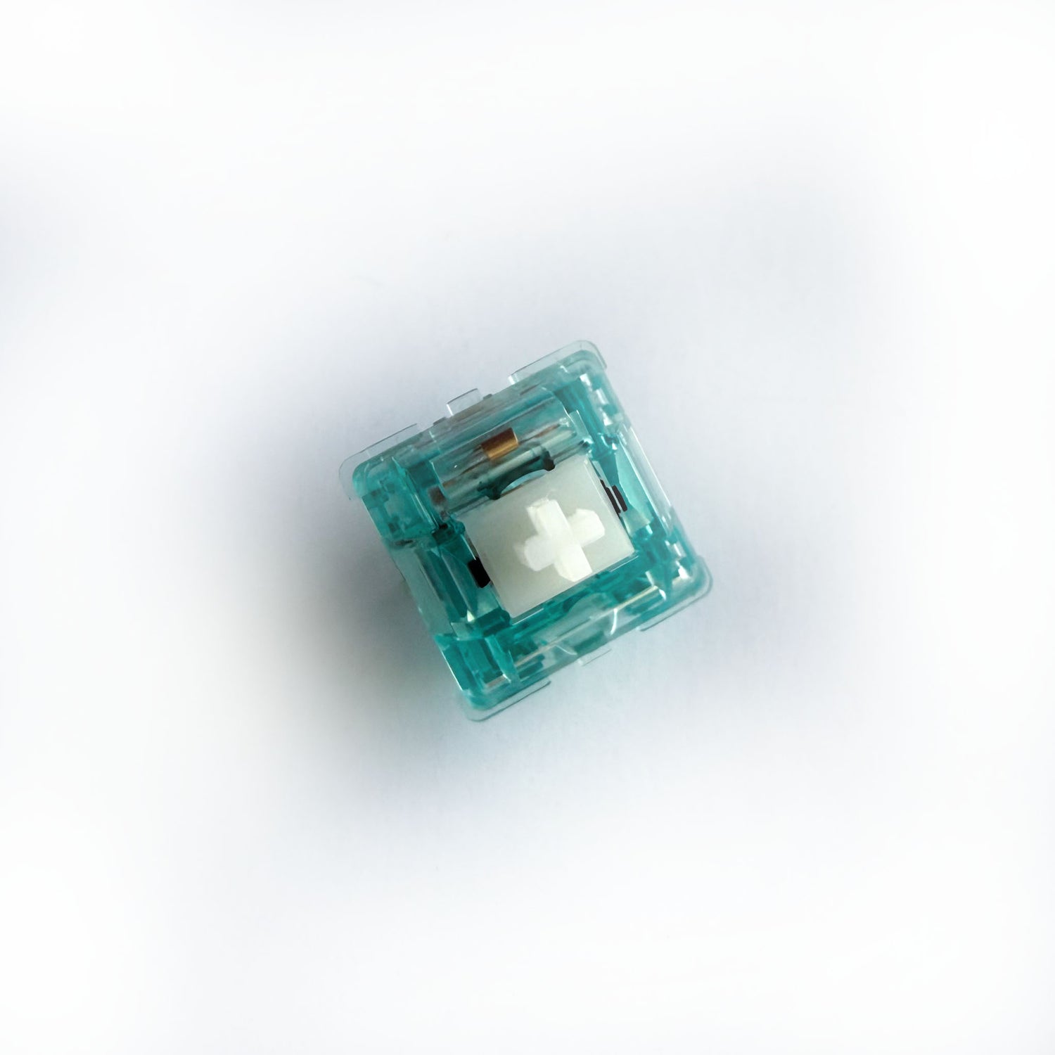 A tactile keyboard switch on a white background. The switch component is white, and the casing is a translucent blue.