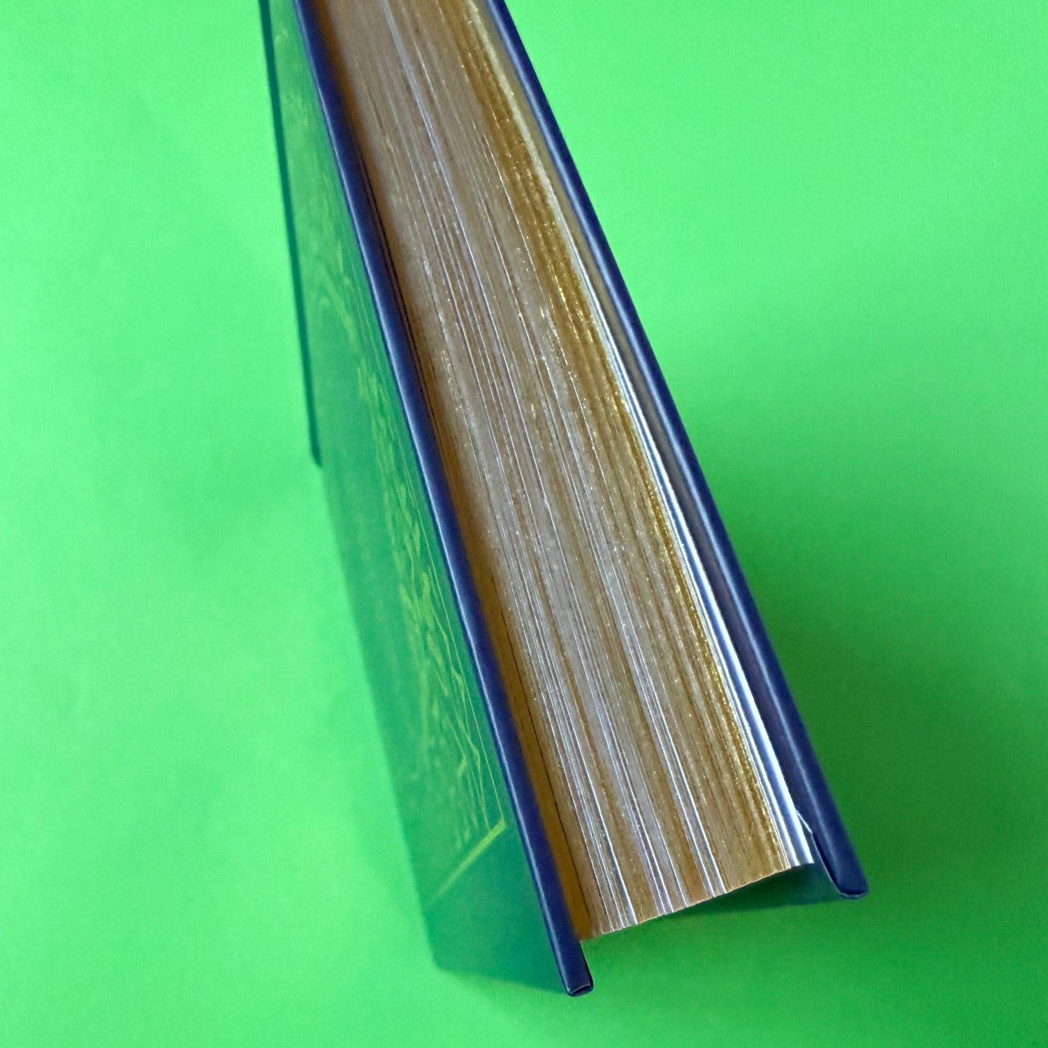 The edge of the Adventure Journey, showcasing the gold edges of the page.