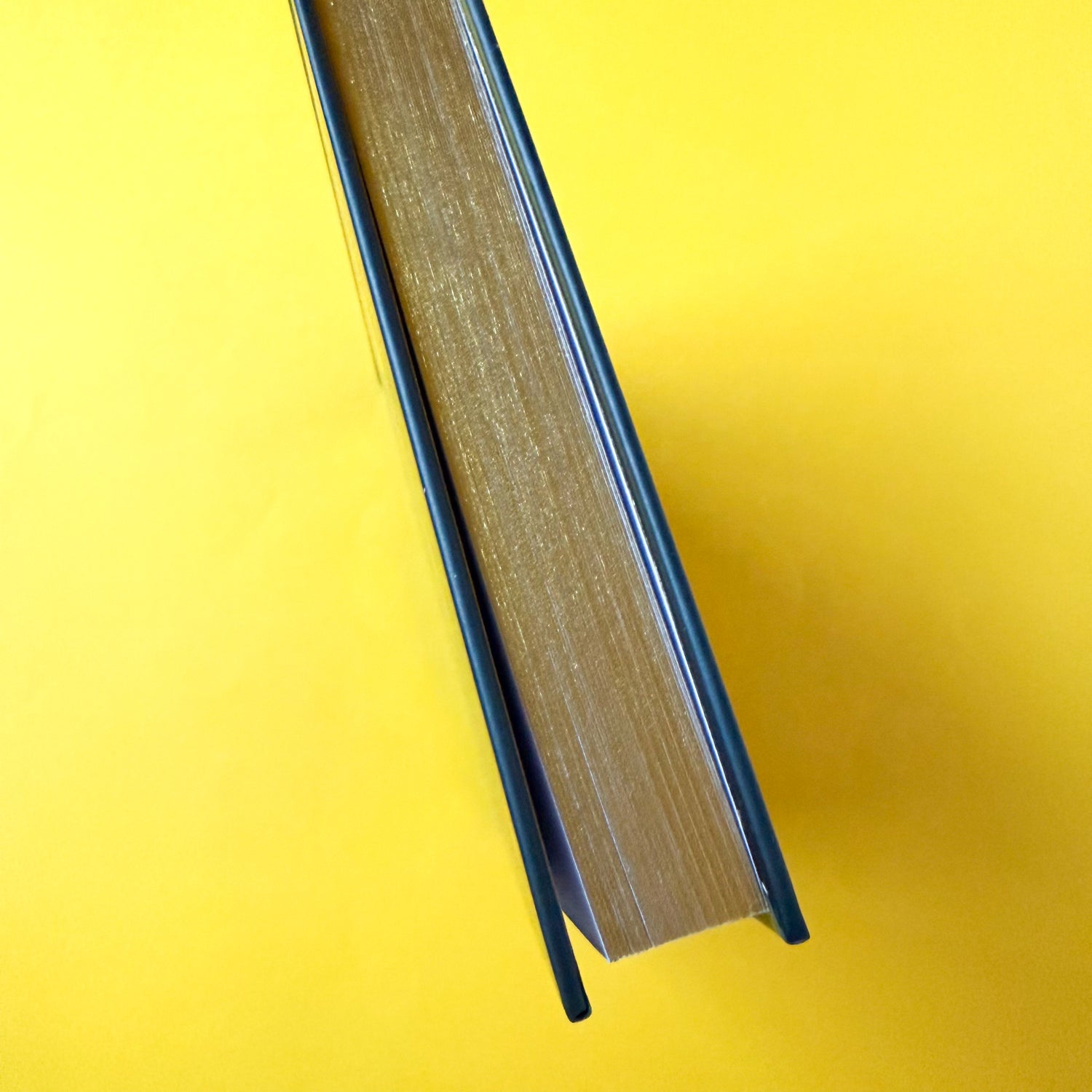 The edge on the Gay Agenda, showcasing the gold edging of the pages.